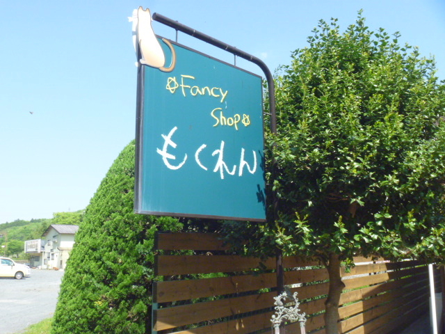 gV[Tea@time@ؗ̓eʐ^1