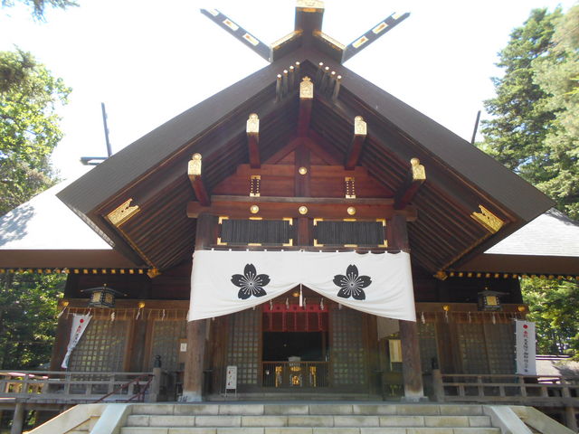 ���_��_���_��