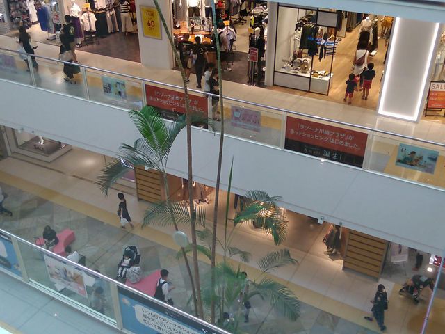 ����_���]�[�i���v���U