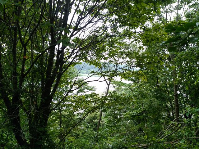 }X^O̎oˑ喾_̓eʐ^2