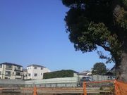 Ƃ񂳂̐VnˈՂ̓eʐ^3