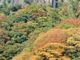 kazuさんの立久恵峡の紅葉の投稿写真1