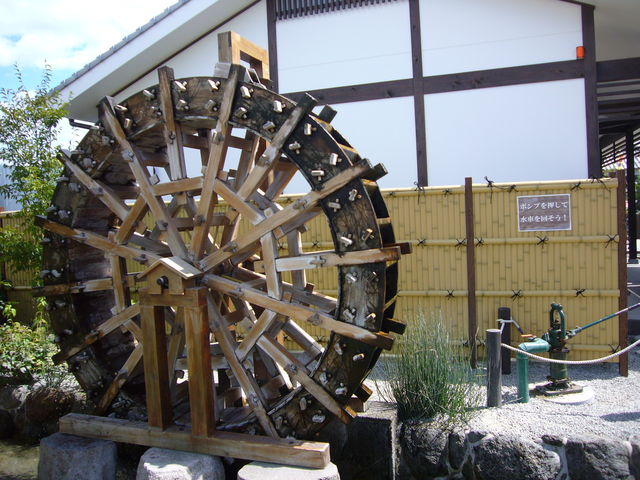 ����_��̉j���܂�