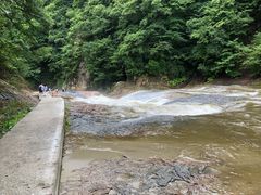 �`�������p�X����̖���̑�ւ̓��e�ʐ^1