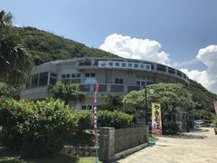 奄美海洋展示館の口コミ一覧 じゃらんnet