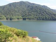 񂳂̂Ȃ܌ΓW]̓eʐ^3