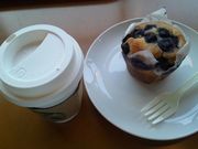 ỹX^[obNXER[q[ ֑ۓX̓eʐ^1