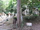 KAZZさんの江川太郎左エ門英龍（坦庵）の墓・江川家の菩提寺の投稿写真1