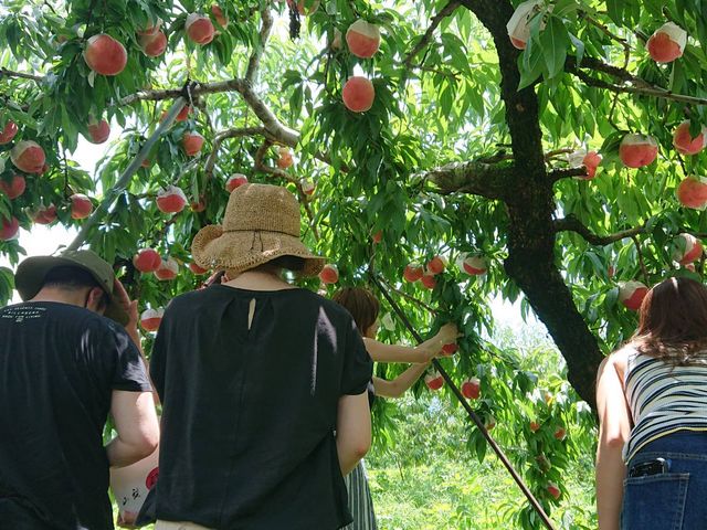 2��ޖڂ̓���I��ł���Ƃ���ł���_�������̉���