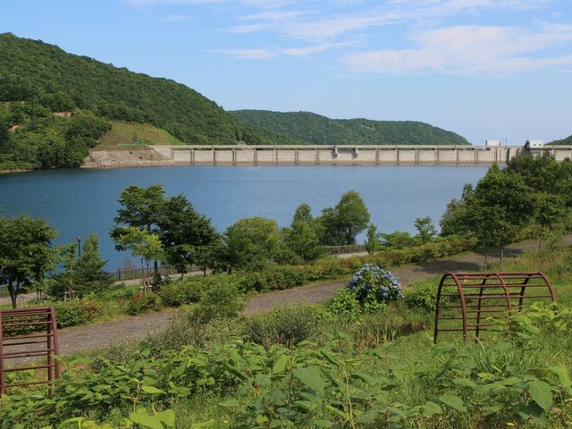 ���n�A�΂�Ղ�_�I�^���i�C��