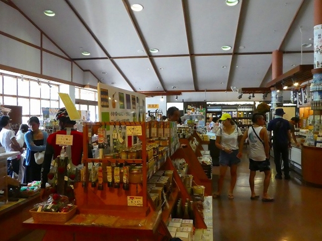 ���쌧�E���̉w�E���J_���̉w�@������