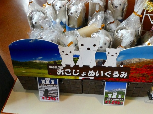 ���쌧�E���̉w�E���J_���̉w�@������