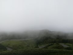 panchan����̗������C���ւ̓��e�ʐ^1