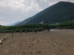 񂿂񂳂̃}O[uJk[c[Oւ̓eʐ^1