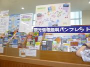 ߂߂̉ꌧߔe`όē̓eʐ^1