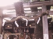 񂿂񂳂̏F_Ђ̓eʐ^1