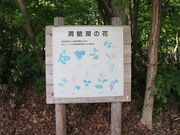 񂳂̐ӂ̐X̏a̓eʐ^2