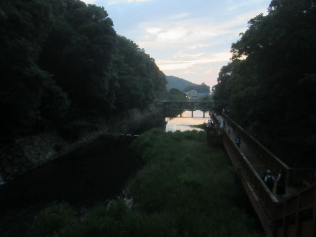 �[���O_�ق��錩����