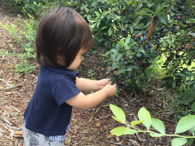 ���A�����͖����ł�_���ʂ���ӂ��[��