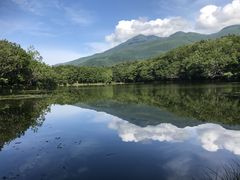 Ƃ񂳂̒mmēւ̓eʐ^1