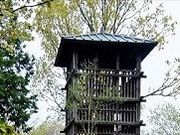 ANZ[JČՏ隬̓eʐ^1