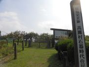 dai-neko̍푺Ί펞ZՂ̓eʐ^1