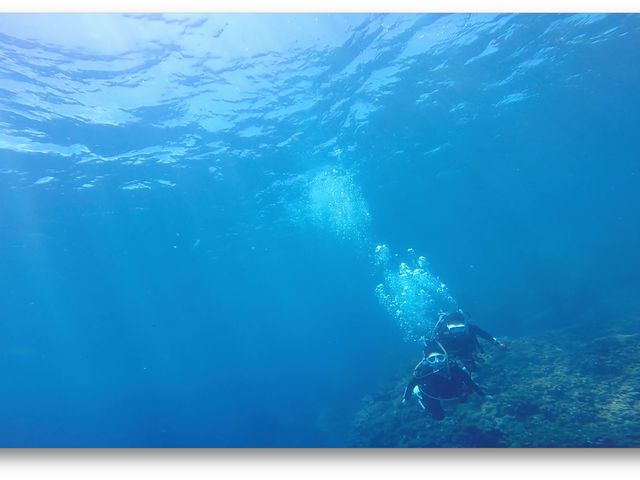 ���C�ł���_���䓇�_�C�r���O�V���b�v�A���x�X�N