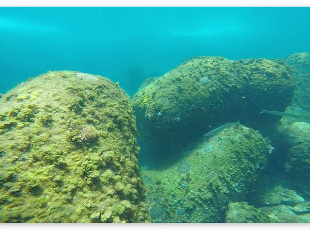 ��������_���䓇�_�C�r���O�V���b�v�A���x�X�N