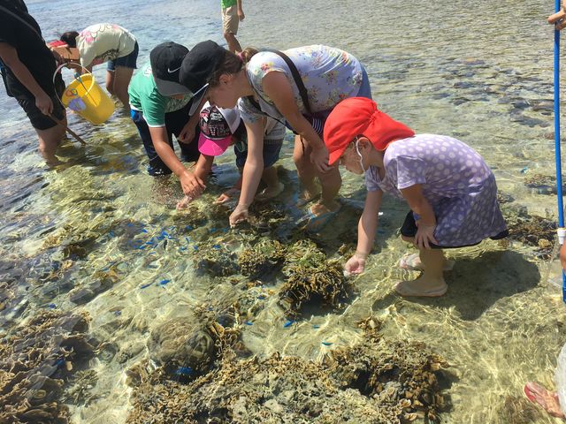 �����X�Y���_�C�ɉa�t���̌����ł��܂����B_feelokinawa