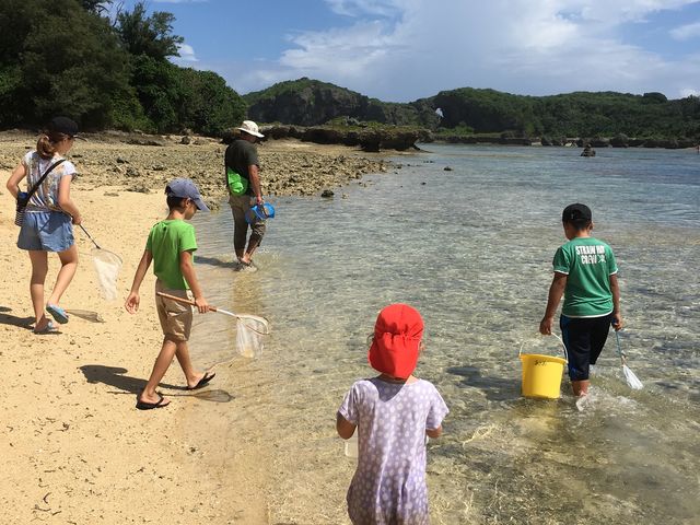 �K�C�h����ɂ��ĕ����q�������B_feelokinawa