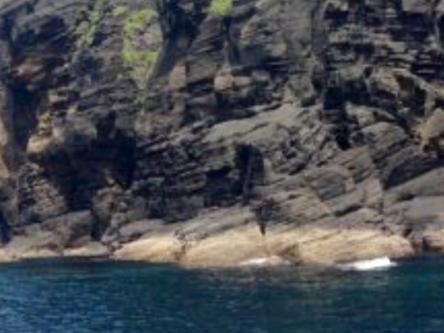 poporon̍㓇ΎRCIR̓eʐ^1