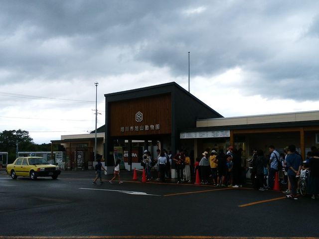 ����O�ł�_���R������