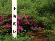 poporon̏l隬̓eʐ^1