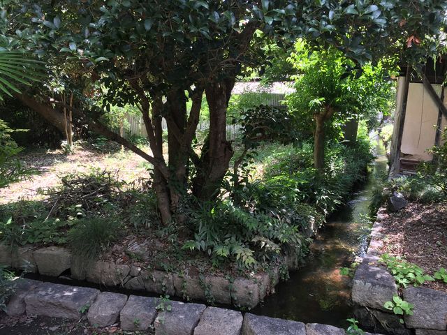 cƃ}̗mȂтɐR̓eʐ^1