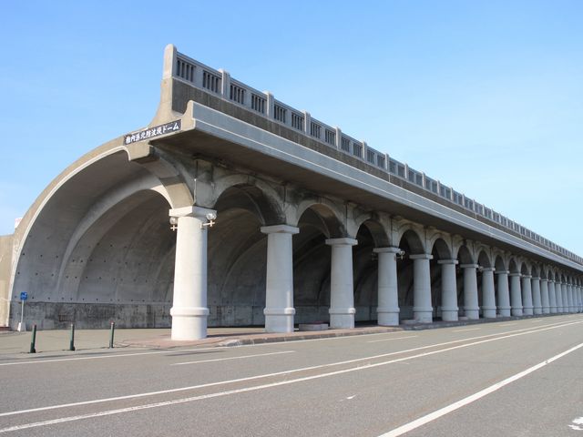 ��������ĎB�e_�t���`�k�h�g��h�[��