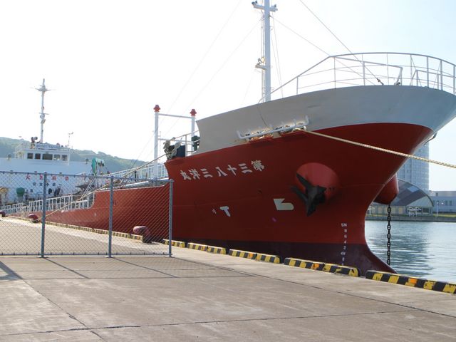 ���D���┑_�t���`