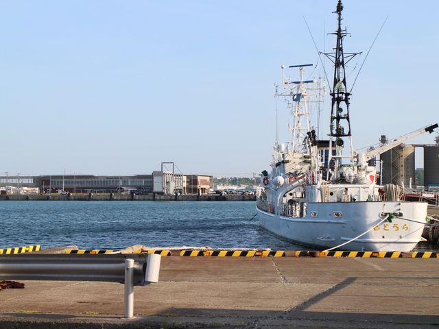 �Â��ȍ`_�t���`