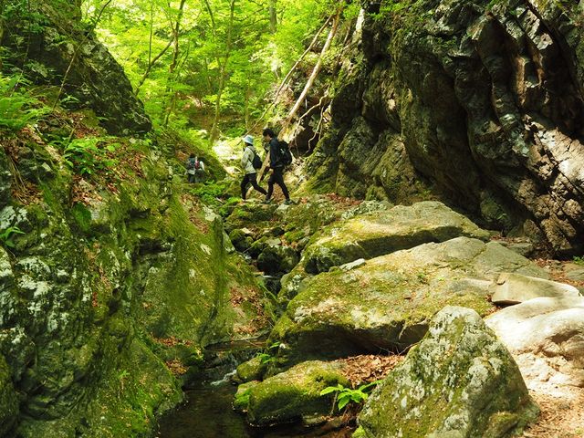 C[XgEbh̃bNK[f̓eʐ^2