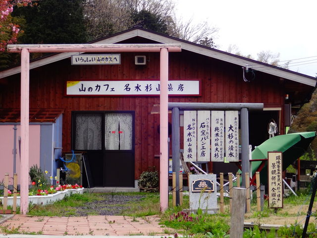 名水杉山菜房 天橋立 宮津 舞鶴 居酒屋 じゃらんnet