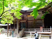 ���ǁ[����̖{�R���̓��e�ʐ^2