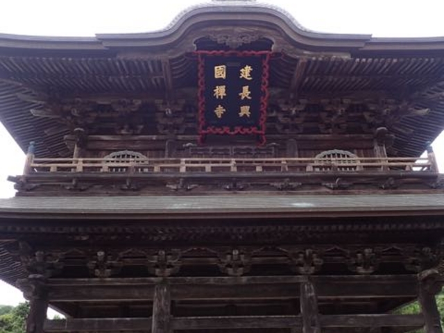 �O��_�������O��