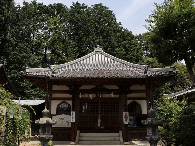 ���̐_�c�_�Ђɂ���s�����B_�_�c�_��