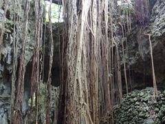 ܂[񂳂̃KK[̒Jւ̓eʐ^1