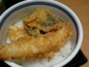 񂿂񂳂̎G qwЂ܂vUX̓eʐ^1