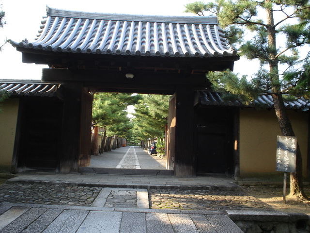 �哿��_�哿��