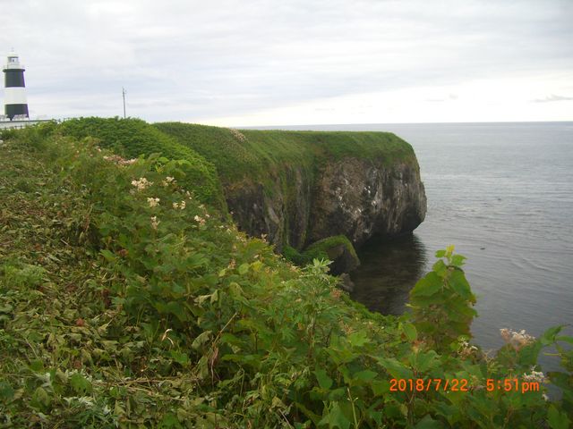 �I�z�[�c�N�̊C_�\�斦�C��