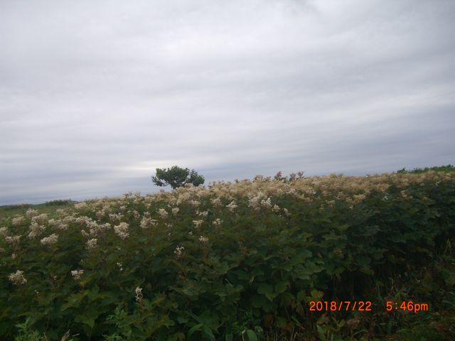 �k�C���炢�����i_�\�斦�C��