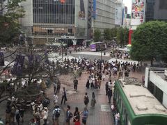 SKSY̏aJwOXNu_ւ̓eʐ^1