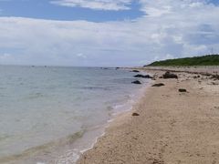 ahirũu[R[ւ̓eʐ^1