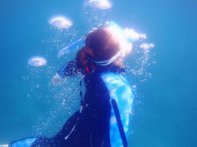 �t���[�_�C�r���O������Ă܂���_�u���[�A�[�X21�F�{